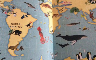 Animal adventures across countries, continents….and contents pages!