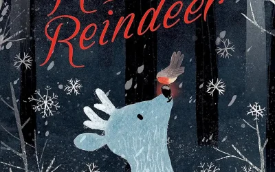 The Robin and the Reindeer teaching notes