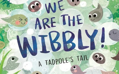 We are the Wibbly KS1 teaching resources