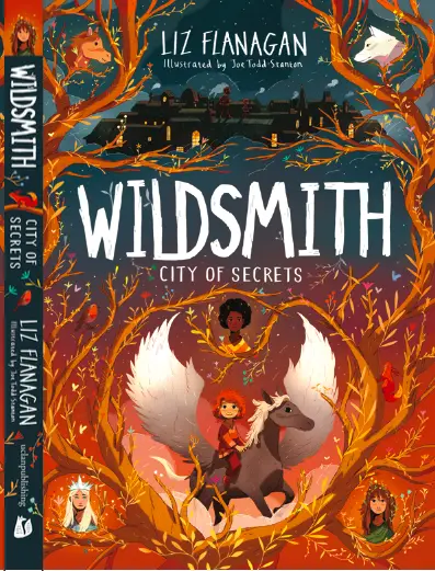 Wildsmith City of Secrets by Liz Flanagan book cover