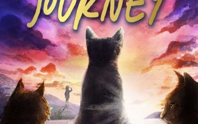 The Last Journey UKS2 Teaching Resources