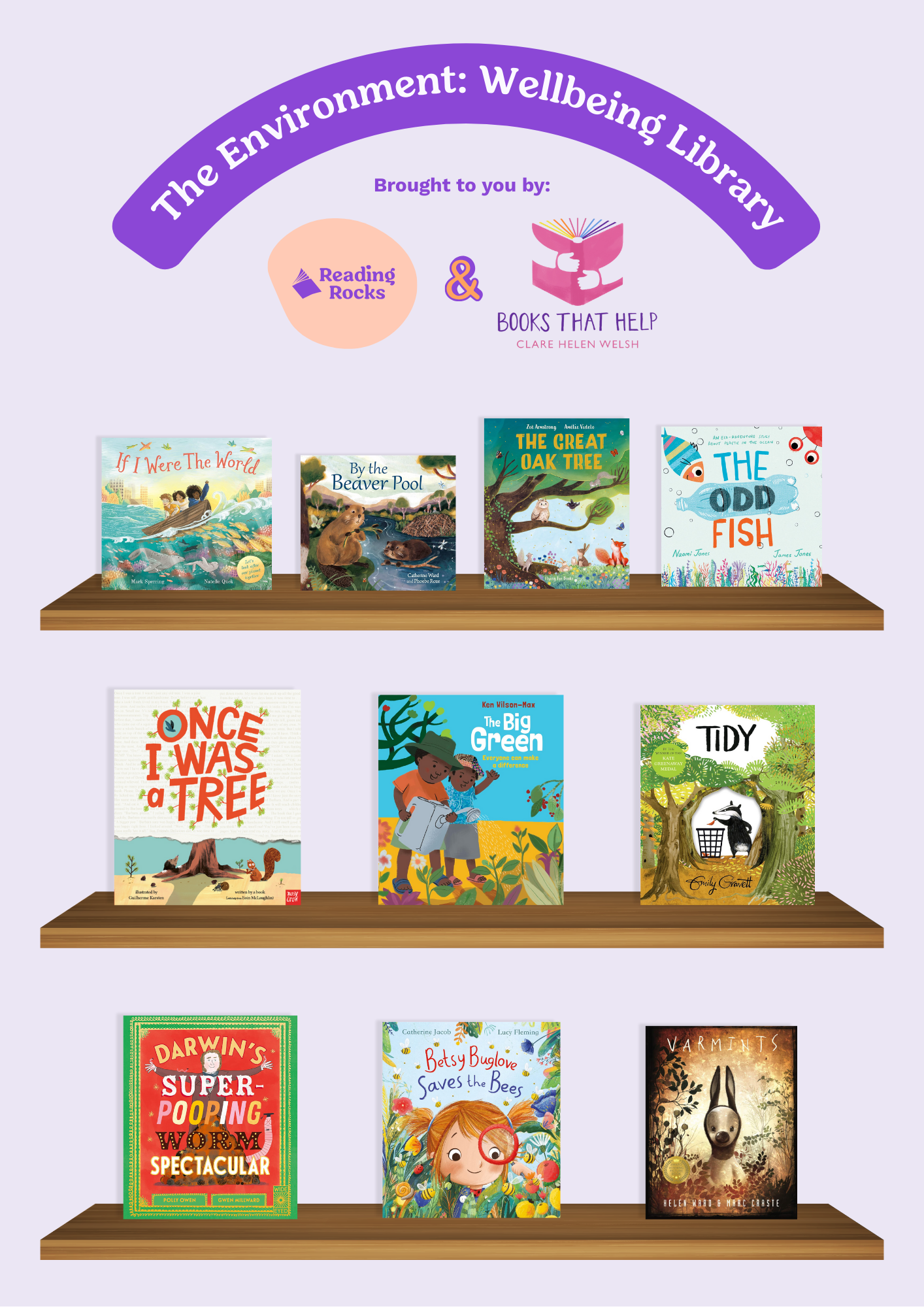 Environment Theme Library Bundle x10 books - Image 2
