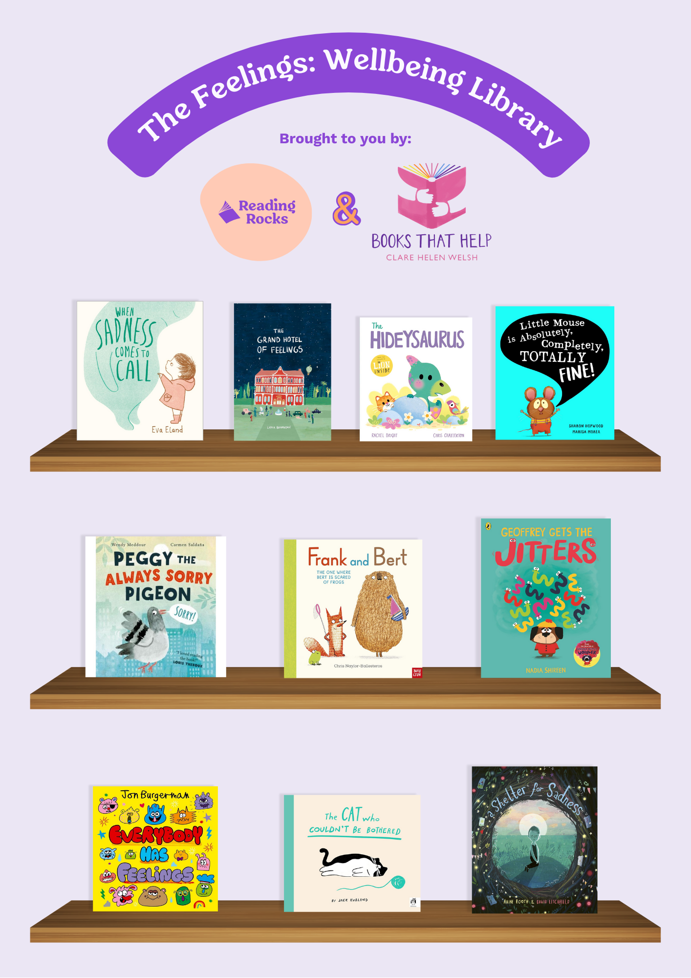 Feelings Theme Library Bundle x10 books - Image 2