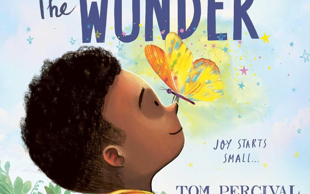 The Wonder KS1 Teaching Resources