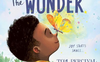 The Wonder KS1 Teaching Resources