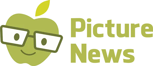 Picture News logo